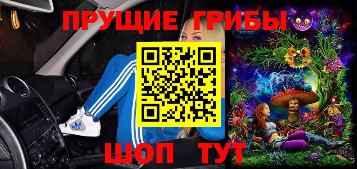 Лыткарино  Псилоцибиновые грибы MAGIC MUSHROOMS  Вход с VPN 